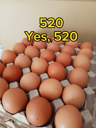 Opinii despre Breakfast Buddy Damansara Utama în Petaling Jaya - Gastronomi dan perhotelan