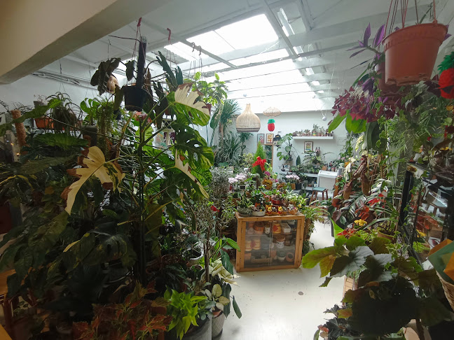 Taman Hati Studio & Cafe