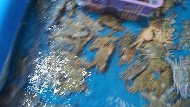 Qun Hua Kuala Selangor Seafood Restaurant - Gastronomi dan perhotelan