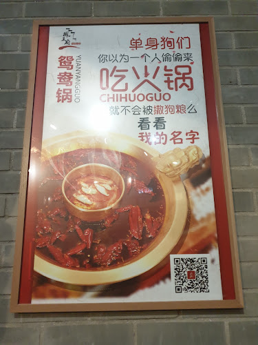 Comentarii opinii despre FWF Hotpot