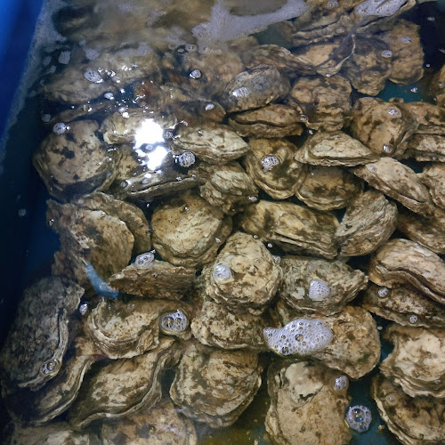 Qun Hua Kuala Selangor Seafood Restaurant - Kuala Selangor