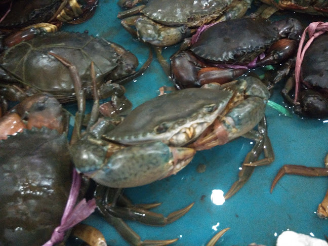 Comentarii opinii despre 巴生潮州炒粥 Restoran Bubur Goreng