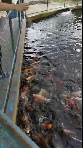 Restoran Halifah - Gastronomi dan perhotelan