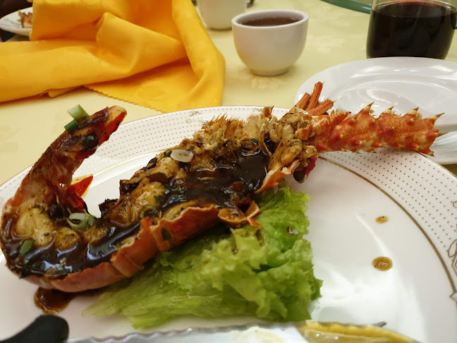 Comentarii opinii despre Shelaiton Restaurant