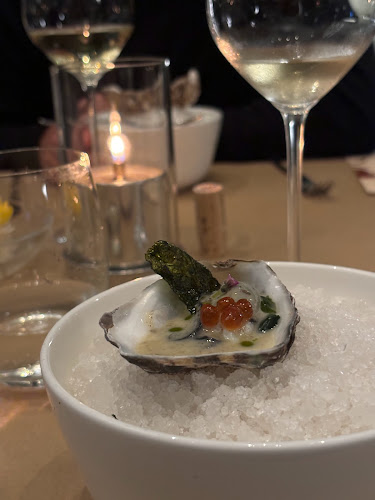 Comentarii opinii despre Fritz