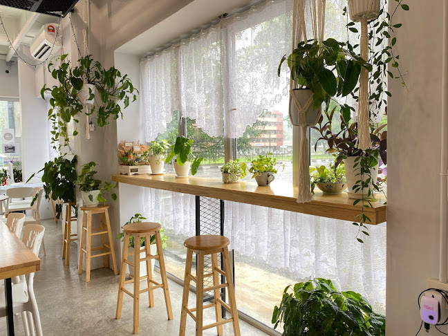 Comentarii opinii despre Rainy Corner 雨鄉 • 咖啡