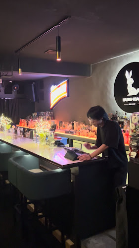 Comentarii opinii despre Haiiro Usagi