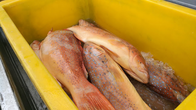 Restoran Makanan Laut Bulatan B5 - Gastronomi dan perhotelan