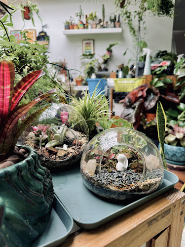 Taman Hati Studio & Cafe - Petaling Jaya