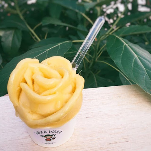 Comentarii opinii despre Waka Waka Gelato