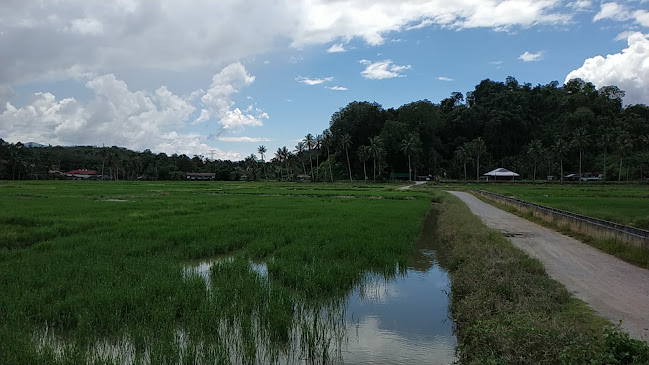 Comentarii opinii despre Kedai Makan Jamil/Zamil tepi Bendang Telok Batu