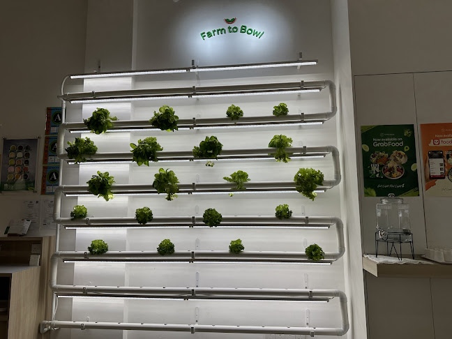 Opinii despre Fit My Bowl (Eco Botanic) în Iskandar Puteri - Gastronomi dan perhotelan