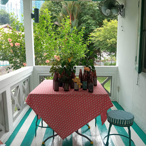 Comentarii opinii despre Planter Chin