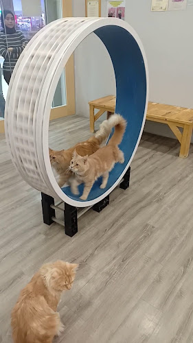 Mee Tarik Warisan Asli Mydin - Perai