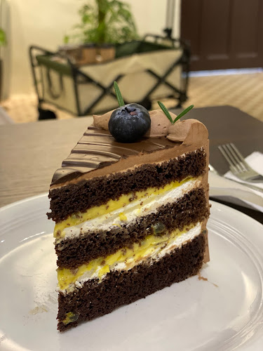 Comentarii opinii despre Back to Begin