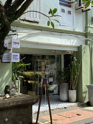 Naug Cafe (Naug Just Plants’ backyard)