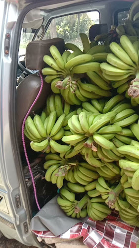 Opinii despre Kedai dan Pembekal Buah-buahan Aura KDSK Trading în Seri Manjung - Gastronomi dan perhotelan