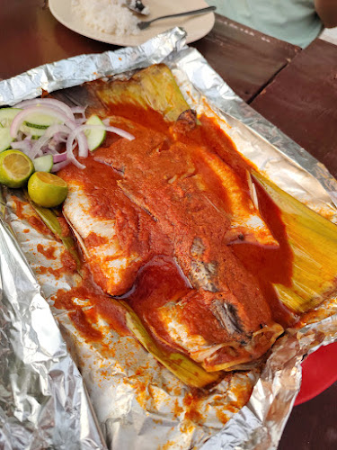 Comentarii opinii despre The Bella Donna