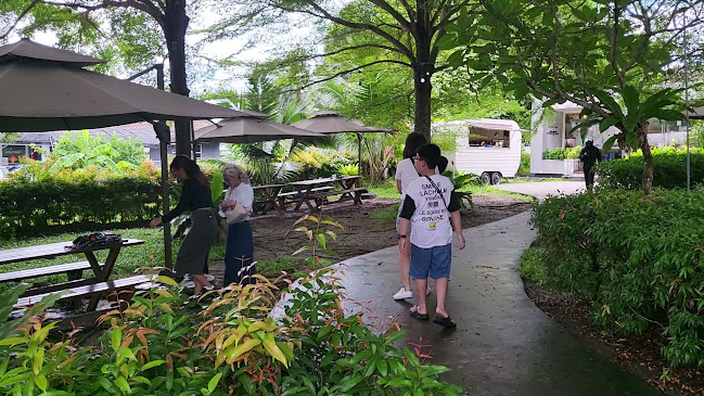 Comentarii opinii despre Project CAN @ Lebuh Glugor