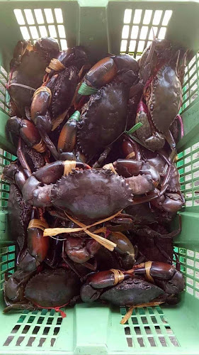 Eagle Music Cafe - Bintulu