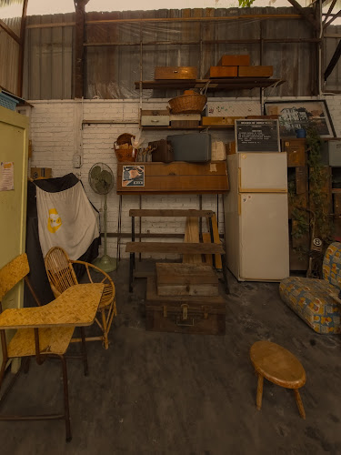 Comentarii opinii despre nui kopi