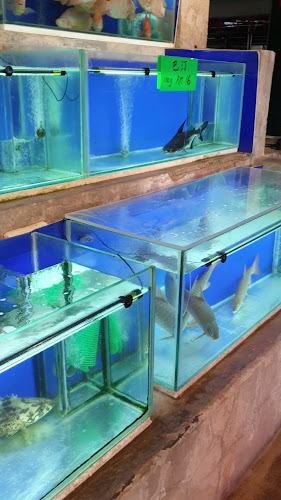 Oriental Seafood Restaurant - George Town