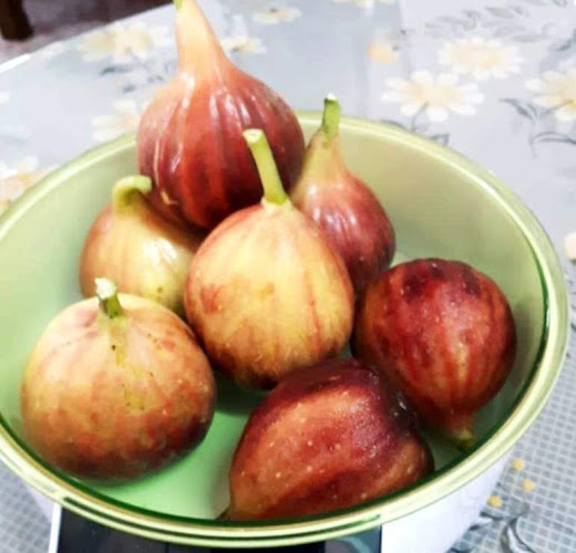 Comentarii opinii despre Hijrah Es Magic