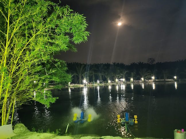 Comentarii opinii despre D'Kolam Cafe Halida