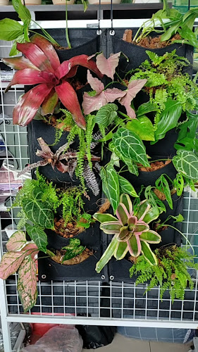 Kedai Kopi OSHIN - Klang