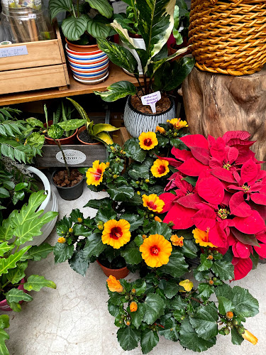 Comentarii opinii despre Taman Hati Studio & Cafe