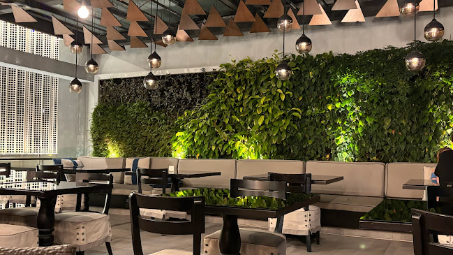 Opinii despre Man Tao Bar I Rooftop Bar în Kuala Lumpur - Gastronomi dan perhotelan