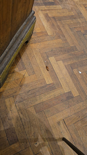 Nando's • 1 Utama - Gastronomi dan perhotelan