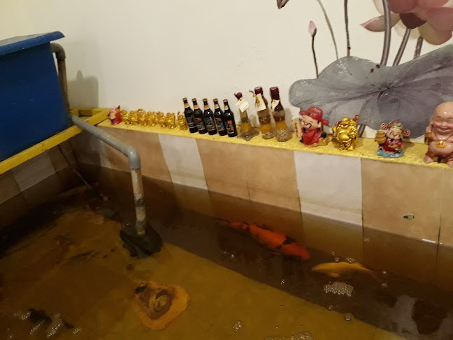 160, Jalan Pokok Assam, Kampung Sungai Tupai, 34000 Taiping, Perak