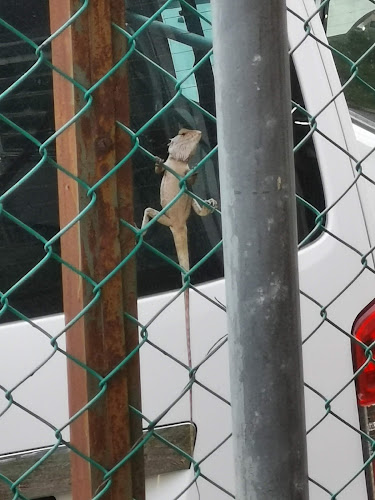 Kedai Kopi Lido Baru - Gastronomi dan perhotelan