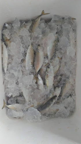 Permata Frozen Freshmart - Gastronomi dan perhotelan