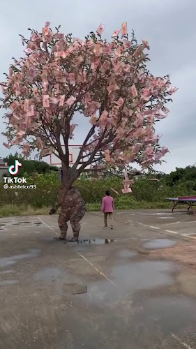 Opinii despre 永香点心 Yong Siang Restaurant în Kuantan - Gastronomi dan perhotelan