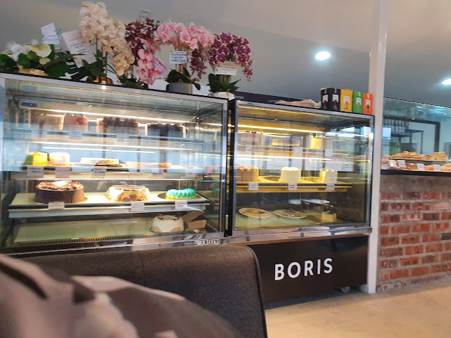 Comentarii opinii despre BORIS