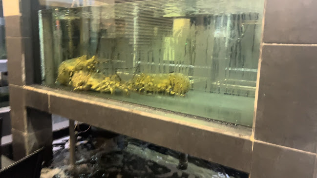 Comentarii opinii despre Marina Bay Seafood Restaurant