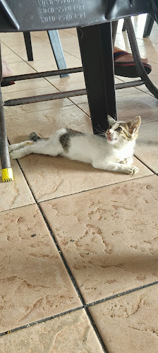 Medan Selera Taman Orkid