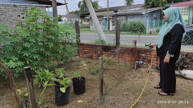 Comentarii opinii despre Skoda Burger