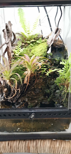 10, Hala Tambun Jaya 1, Taman Tambun Jaya, 31400 Ipoh, Perak