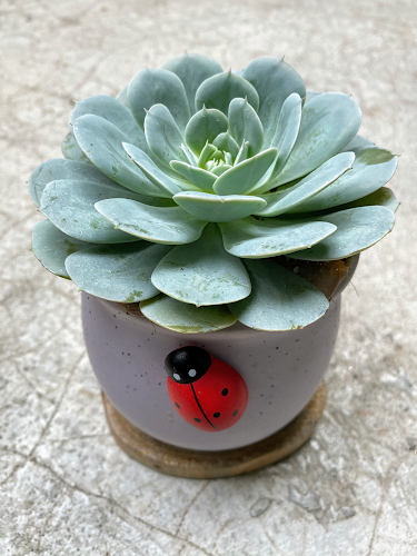 Taman Hati Studio & Cafe - Gastronomi dan perhotelan