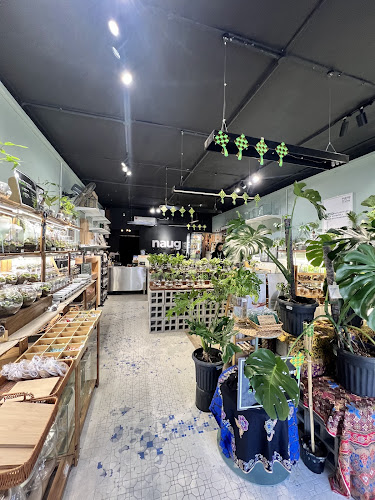 Naug Cafe (Naug Just Plants’ backyard) - Gastronomi dan perhotelan