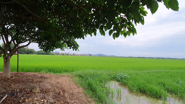 302, Jalan Anak Bukit, Titi Gajah, 06550 Alor Setar, Kedah