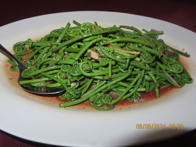 Opinii despre Seafood Padungan Bay Restaurant în Kuching - Gastronomi dan perhotelan