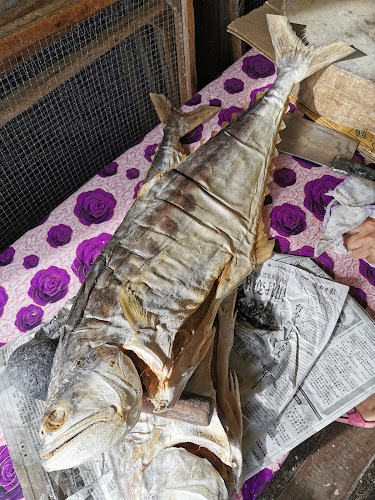 Opinii despre Kg Pukat Fisherman Village în Sandakan - Gastronomi dan perhotelan