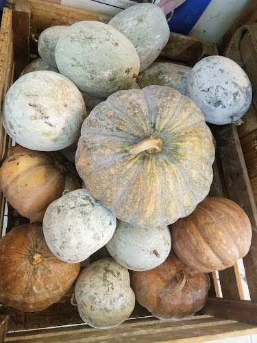 37-0 Lot 27 Block D, Damai Plaza Phase 4, Ruang Kayu Manis, Luyang Commercial Centre, 88300 Kota Kinabalu, Sabah