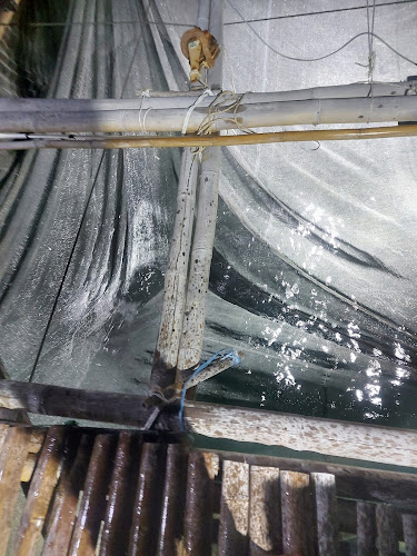 Ikan Bilis Labuan - Gastronomi dan perhotelan