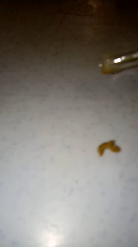 Comentarii opinii despre Restoran Hathija Maju Bistro