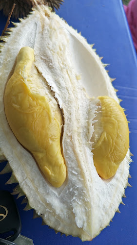 Comentarii opinii despre Durian Stall Alor Setar 218